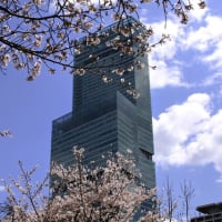 天王寺（大阪市）に出たついでにリニューアルした慶沢園へ