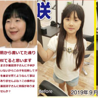 正田美智子は上海中華だった・・と何度も何度も何度も書いた。中国人が詐欺ってると。その上にGHQがいるって。