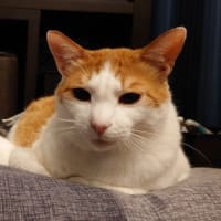 禁断その２