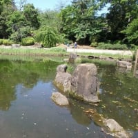 東京都薬用植物園（その４）