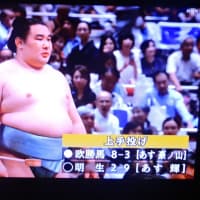 9/19 でも大の里は全勝　他に