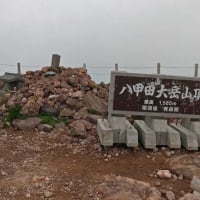 八甲田大岳と仙人岱･毛無岱湿原の花