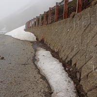 乗鞍岳　畳平周辺を散策　８