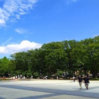 トーハク　神護寺展