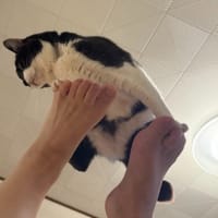みちのえき　めぐり。