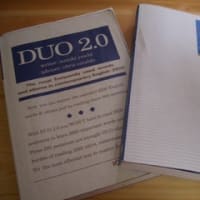 duo3.0