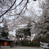 高句麗の宮廷装束、御開帳の日です