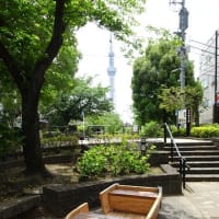 猪牙舟と｢東京スカイツリー｣