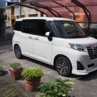 久しぶりにカミさんとコストコへ