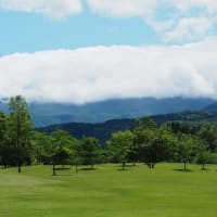 梅雨入りの翌日、青空の下のあづま総合運動公園にて（2025.6.15）#2 せせらぎ・桜の広場、しゃくなげの丘
