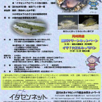 外来魚駆除釣り大会in淀川２０１３  平成25年10月19日（土）