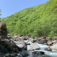 ３６ｃｍ、３８ｃｍ尺上連発、イワナの季節到来だ！