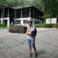Bukit Timah Nature Reserve VI