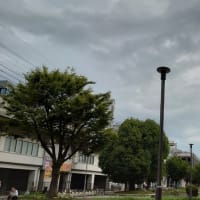 今日の博多３６１　【シャツの選択失敗】