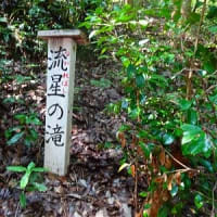 7月例会は正渓寺から大岩不動へ