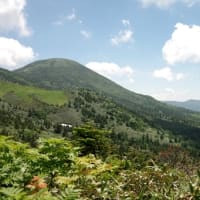 ２０２５年７月９日　北八甲田　田茂萢岳のようす