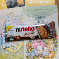 ヌテラ ビスケット/nutella biscuits Italy