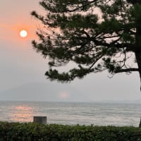 はてなブログに移行のお知らせ九州唐津浜崎海岸6日目　最高の波乗りコンディション