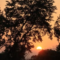多摩川夕景 ２