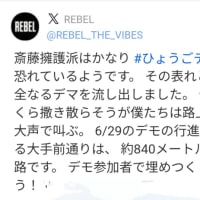 兵庫県異常問題　　　6月29日 （日）ひょうごデモ行進