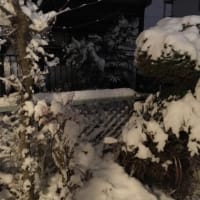 「すごい落差に唖然！」