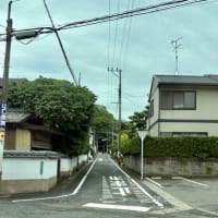 おかげさまでお声掛けいただいてます。