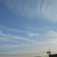 今日で6月も終わり…明日から7月…半夏生～ (￣ー￣)　続・蒟蒻ゼリー