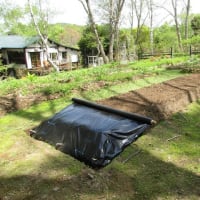 Various garden work