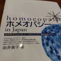 はじめてのホメオパシー