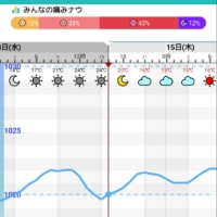 やっぱり撃沈
