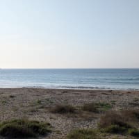 ２０２５年6月３０日御宿海岸よねちゃん前