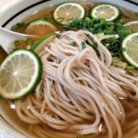 |M3419|宮崎空港ビル３F『萩の茶屋』で早めの夕食。レモンチューハイ＆鶏天おろし＆キムチチャーシューで開始し、冷やし平兵衛酢（へべす）そばが抜群にうまかった！