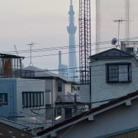 2025/6/22の夕焼け
