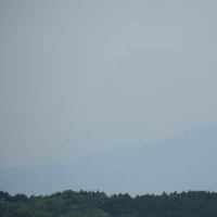 フルメンバー