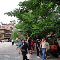 　広東御料理　竹香　（祇園辰巳橋傍）　　布団猫