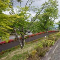 寄居山公園