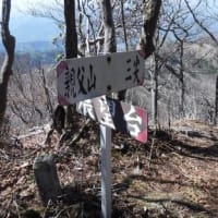 黒岳～親父山のアケボノツツジ（祖母山系）