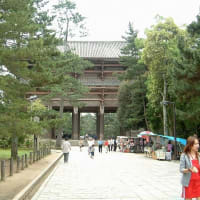 06/17奈良京都への旅-4（東大寺）