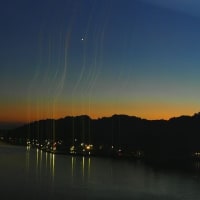 電飾の海
