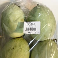 【北海道らしい夏の味覚「漬物メロン」にメロメロ】