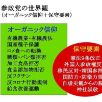 NO１７２４・イリュージョンの第１段階を経験する