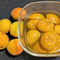 ティ―タイムあんずの色を褒め合いて