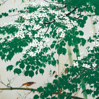 『田中一村展 奄美の光 魂の絵画』ー田中一村の全画業を一望に