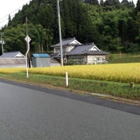 一歩前進