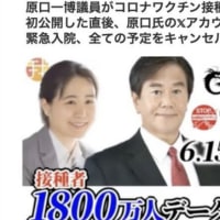 原口一博衆議院議員の不自然な怪我