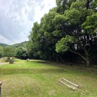 あてのない旅