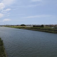 ❾花しょうぶの彩りを楽しむ油ヶ淵の水辺と応仁寺　ゴール