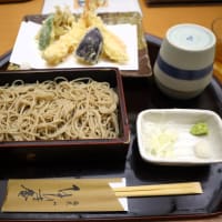 赤塚、蕎麦 ひびき庵 で昼食を食べました。 