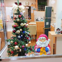 横浜市 大口通商店街 糸川メガネ、クリスマスに模様替えしました！