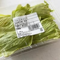 夕食は山菜づくし